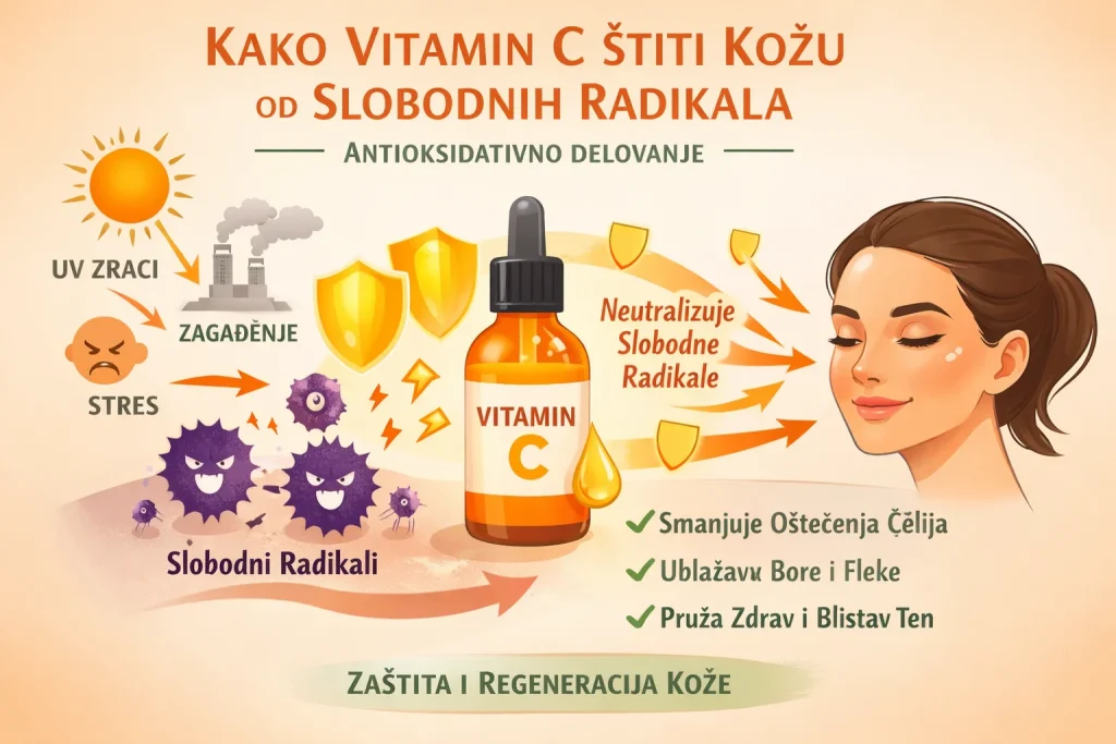 kako vitamin c stiti kozu od slobodnih radikala